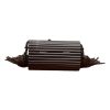 Saint Laurent "Minaudiere" Opium Box Bag in Plexiglass - Black